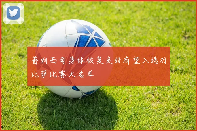 普利西奇身体恢复良好有望入选对比萨比赛大名单