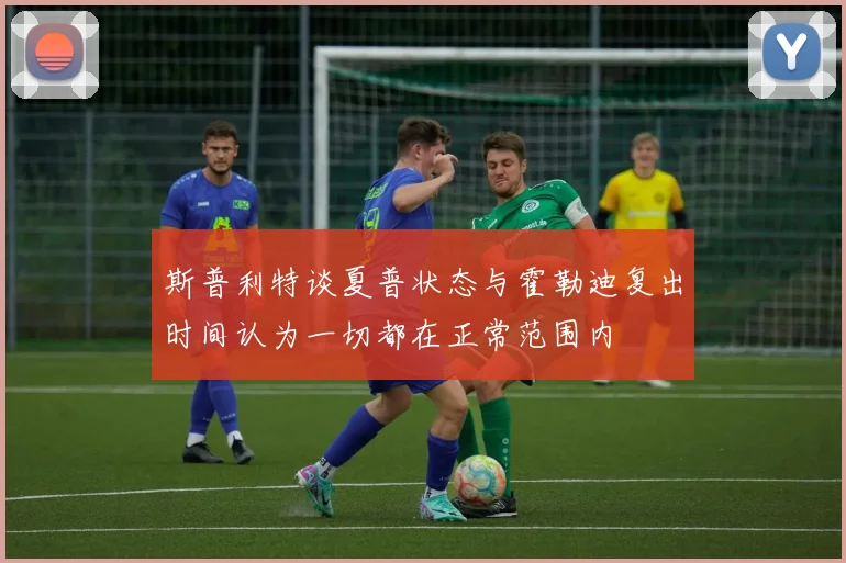 斯普利特谈夏普状态与霍勒迪复出时间认为一切都在正常范围内