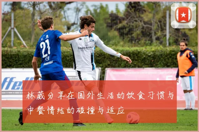 林葳分享在国外生活的饮食习惯与中餐情结的碰撞与适应