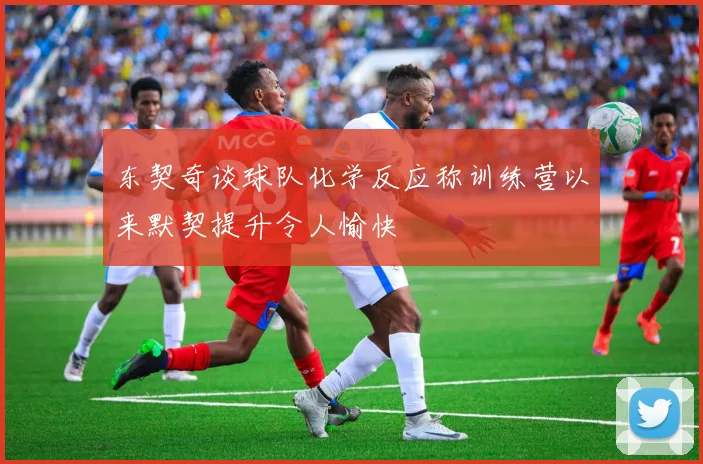 东契奇谈球队化学反应称训练营以来默契提升令人愉快